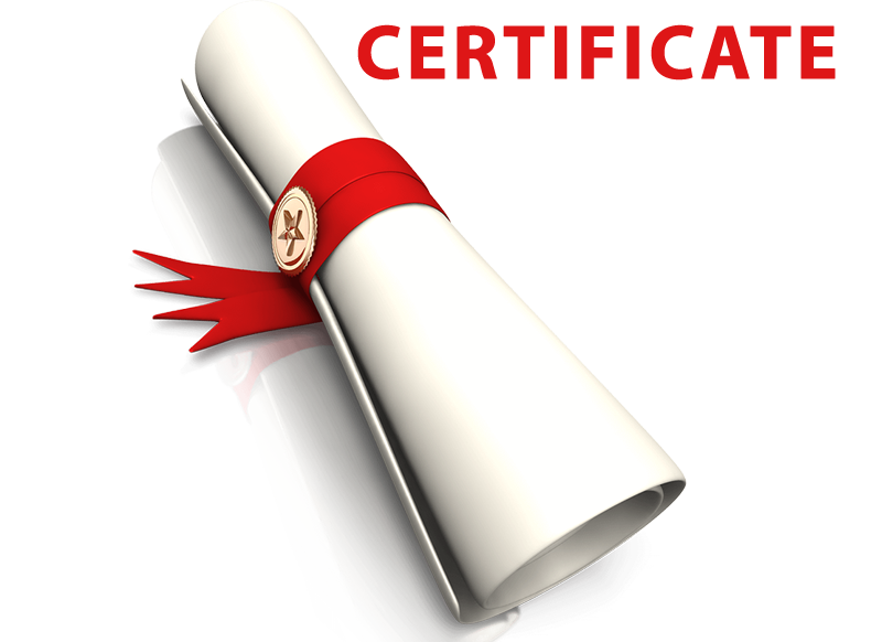 Certified bharatanatyam training institute in kolkata